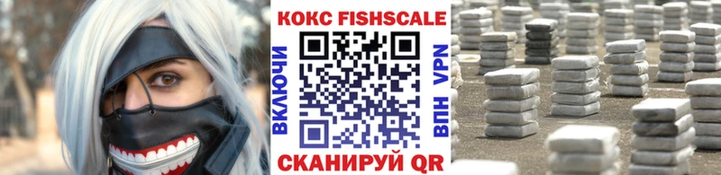 Купить закладки  Качканар  COCAIN FishScale 
