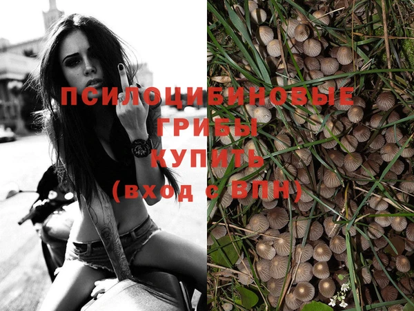 круглые Гусиноозёрск