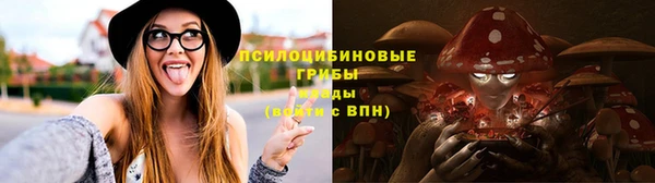 круглые Гусиноозёрск