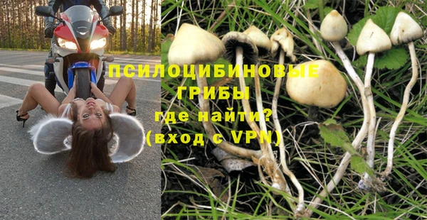 mix Гусев