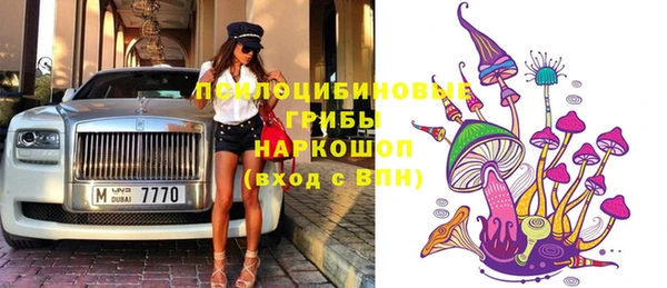 молекула духа Покровск