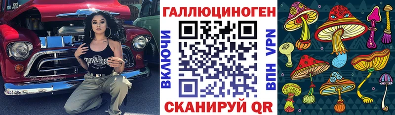 Псилоцибиновые грибы MAGIC MUSHROOMS  Купить где  Качканар 