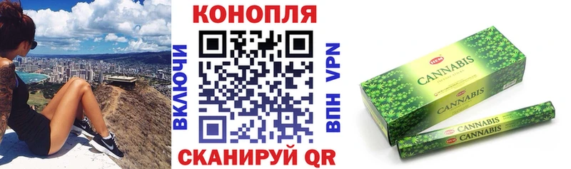 Купить где  Качканар  Бошки марихуана индика 